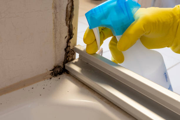 Best Certified Mold Removal  in Stanfield, OR