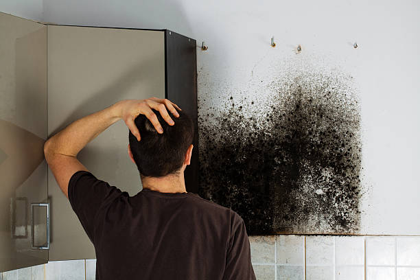Best Emergency Mold Removal  in Stanfield, OR