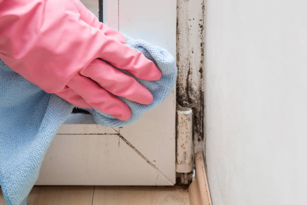 Best Mold Testing  in Stanfield, OR